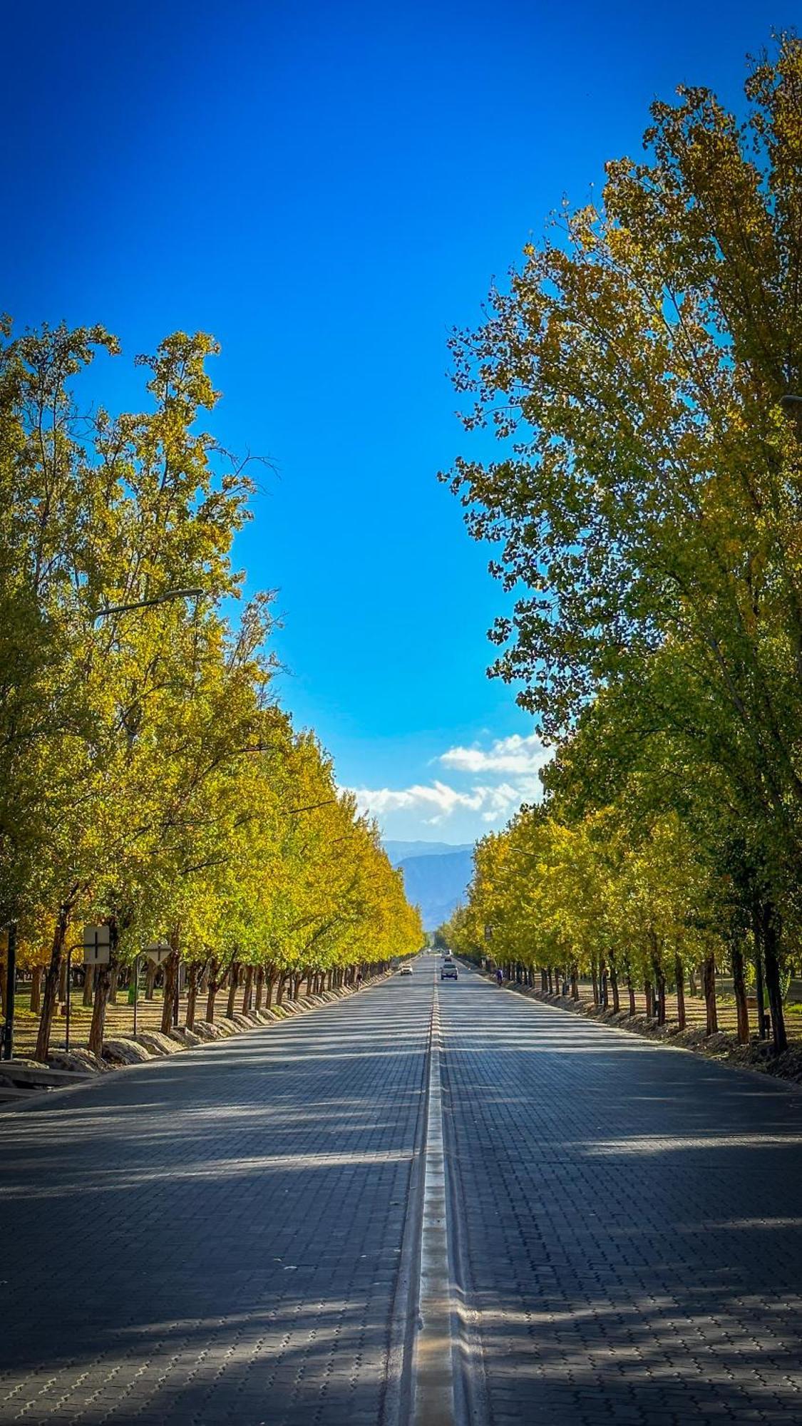 Apartmán El Oasis Mendoza Exteriér fotografie